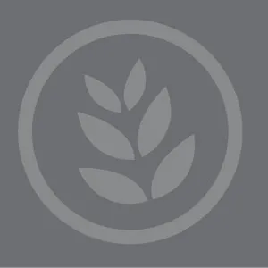 Voran pasteurisering med oljefyrt brenner