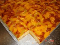 Krumbein KSSM kakekutter