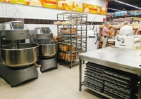 Logiudice Forni Eltemaskin