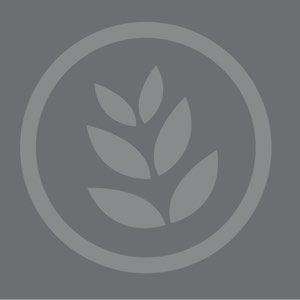 Voran pasteurisering med oljefyrt brenner