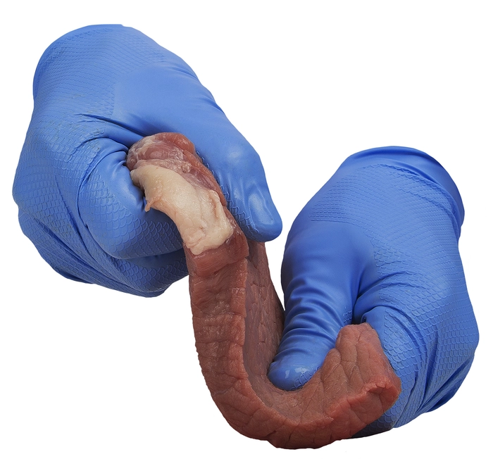 Nitrilhanske GRIPPAZ 305/306