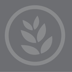 Teltek cassel Shark røntgen inspeksjon system